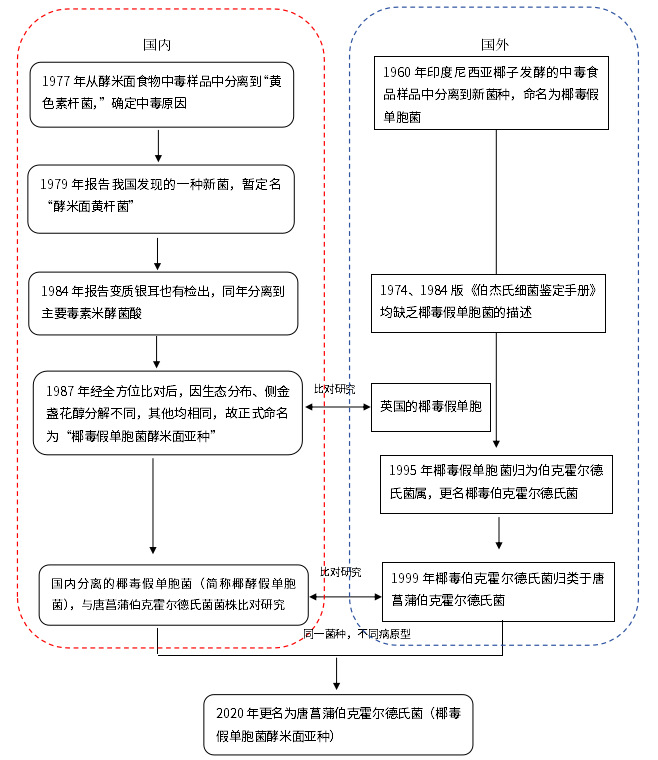 不斷變換“馬甲”的細菌——唐菖蒲伯克霍爾德氏菌（上）